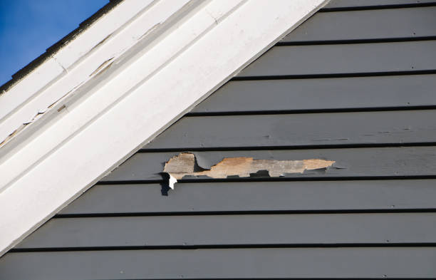 Reliable Rotonda, FL Siding Solutions