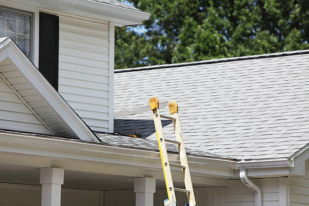 Best Fiber Cement Siding Installation  in Rotonda, FL